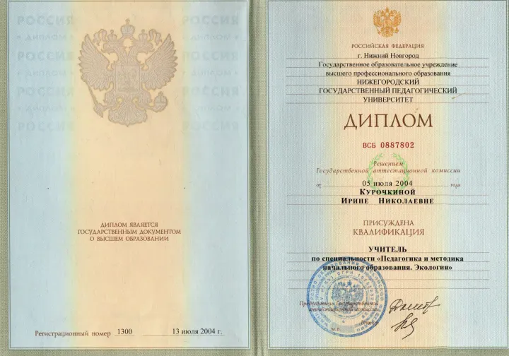 Диплом о высшем образовании, 2004 год